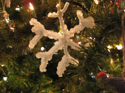 Borax Snowflake